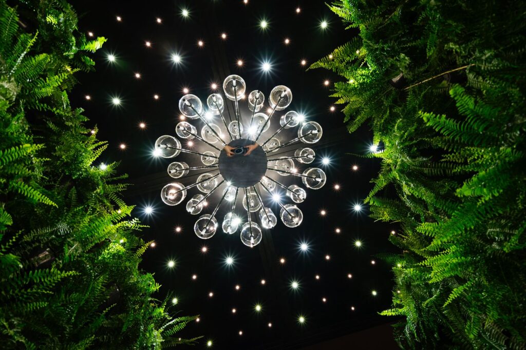 Image 2023-04-17 at 10.25 (8)